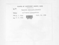 Image Associated With the Occurence